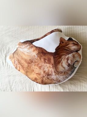 Plush Ginger Cat Shaped Pet Pillow - Decorative Cat Cushion (Ginger)